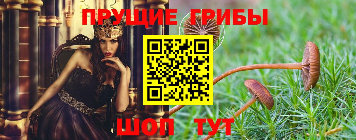 Псилоцибиновые грибы Psilocybine cubensis  Галлюциногенные грибы мухоморы  Вход с VPN  Ростов-на-Дону 