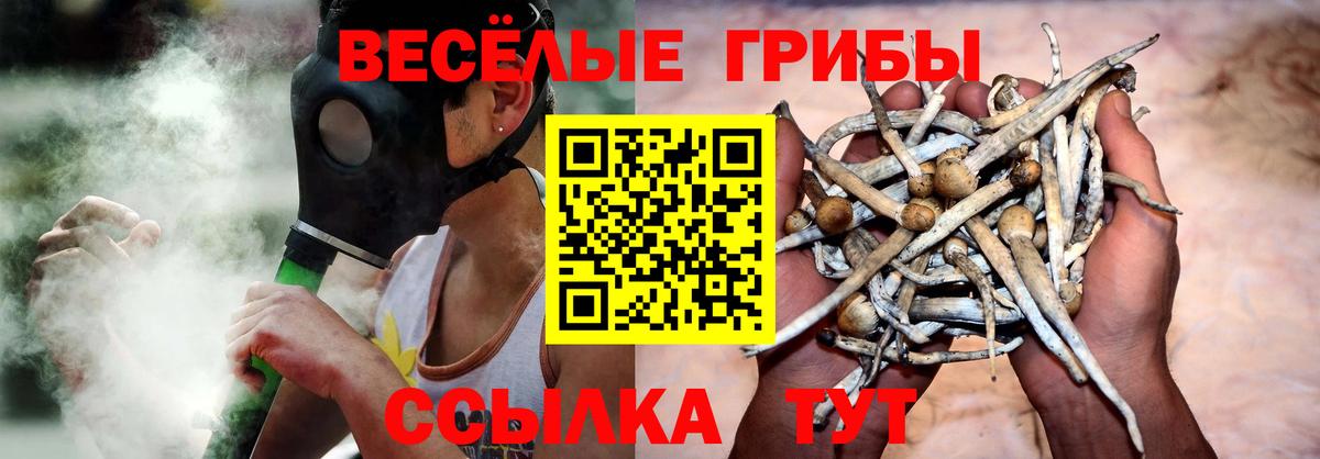 Псилоцибиновые грибы MAGIC MUSHROOMS Ростов-на-Дону